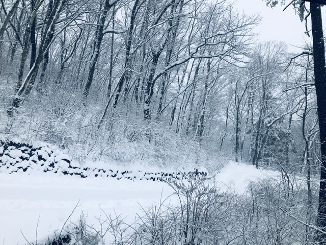 雪景色が似合う軽井沢_d0339896_20181358.jpeg