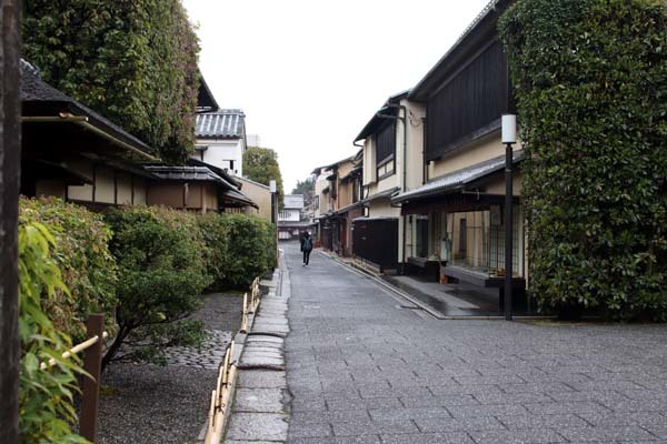 さくら満開　本法寺_e0048413_20230770.jpg