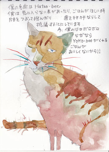 ビー劇場_e0195115_21223323.jpg