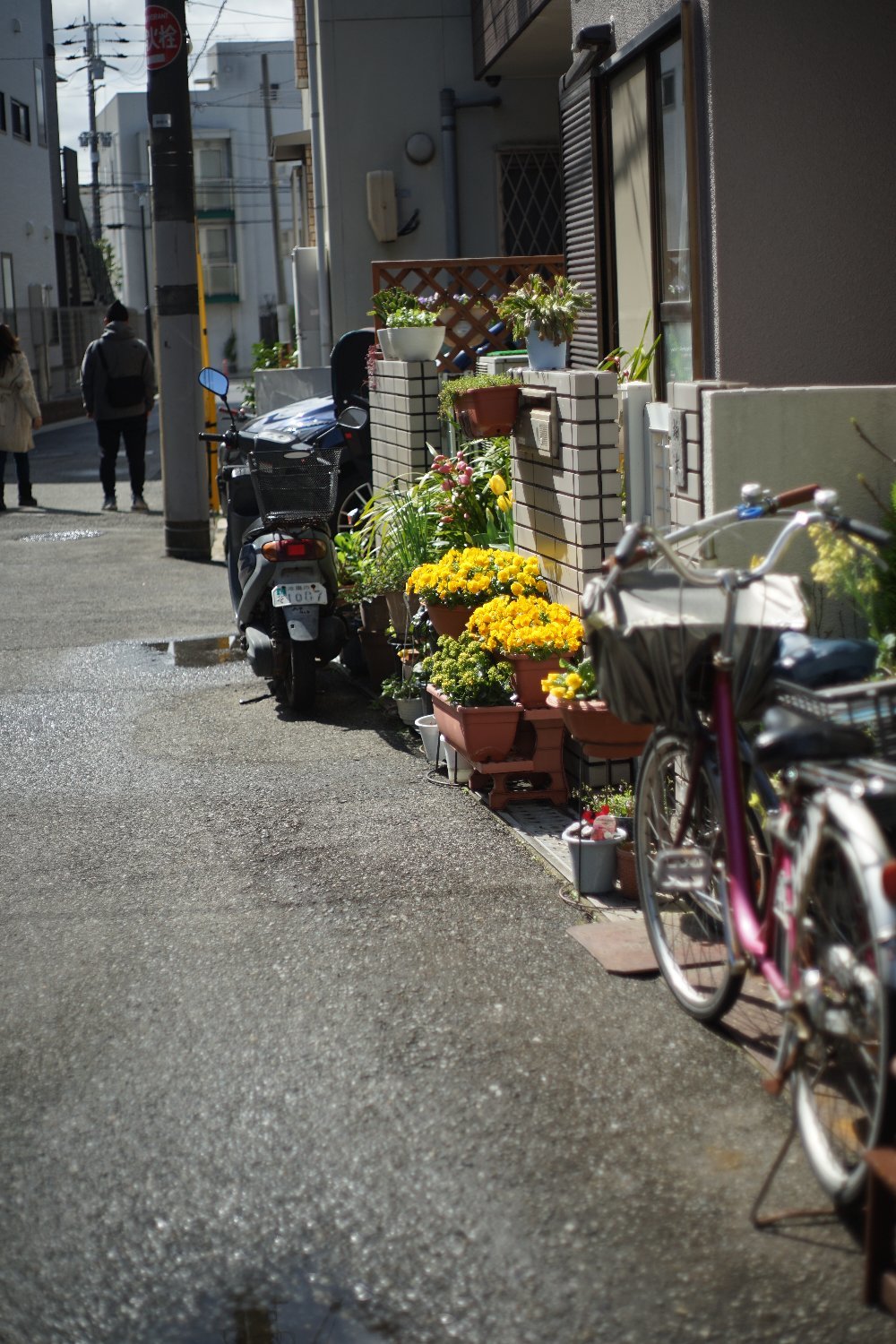 ペトリ CC Auto 55mmF1.8 で 旭ヶ丘を散歩_b0069128_20560897.jpg