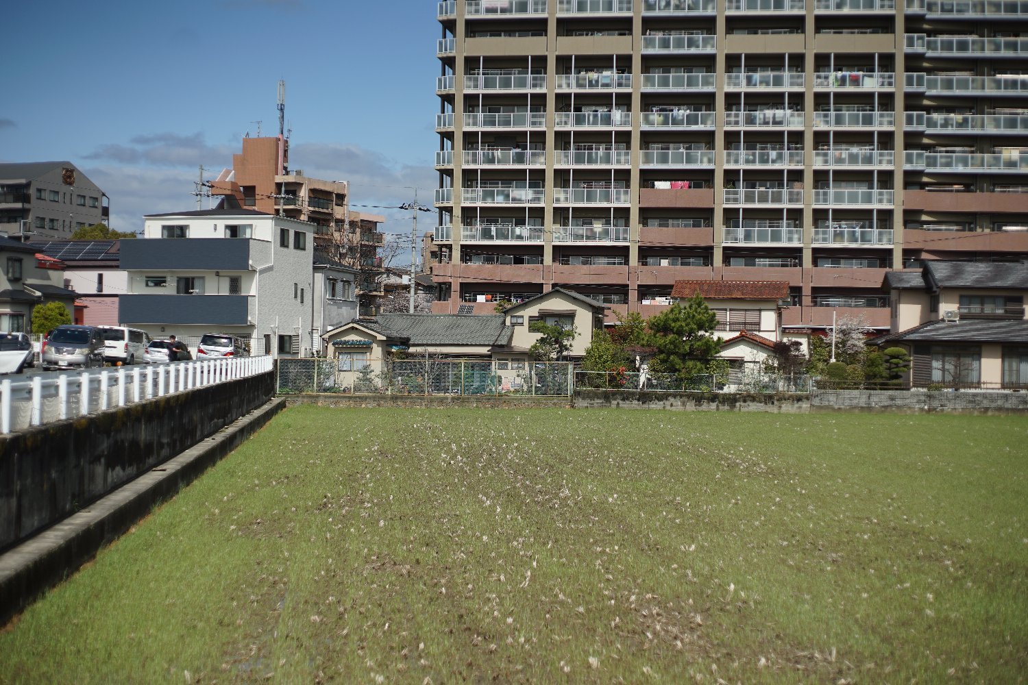 ペトリ CC Auto 55mmF1.8 で 旭ヶ丘を散歩_b0069128_20570913.jpg
