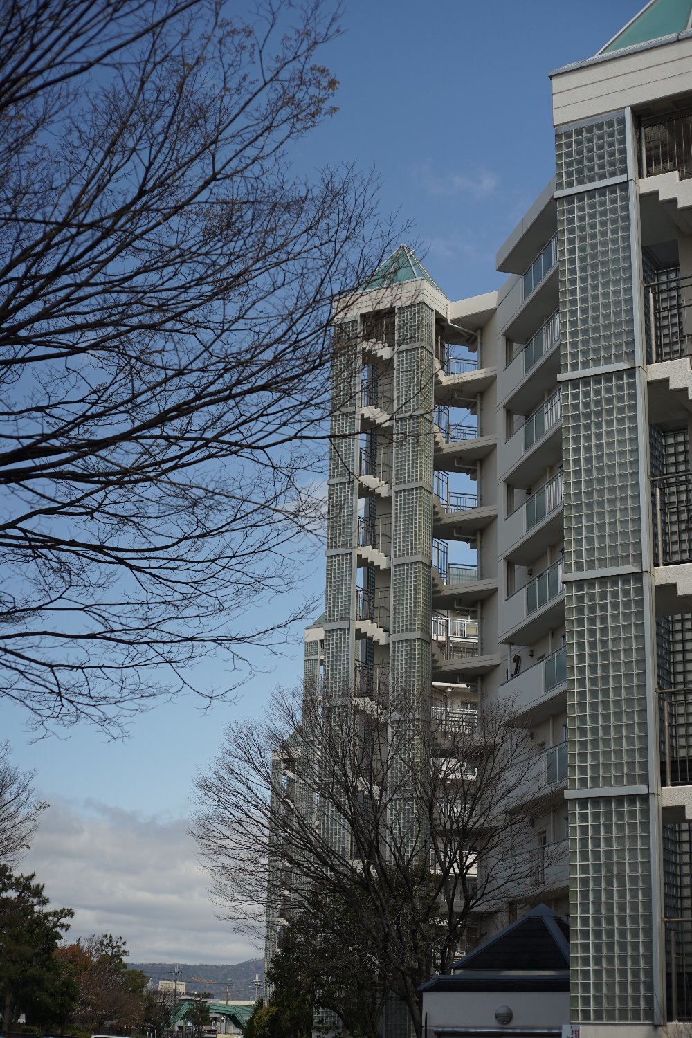 ペトリ CC Auto 55mmF1.8 で 旭ヶ丘を散歩_b0069128_20575751.jpg