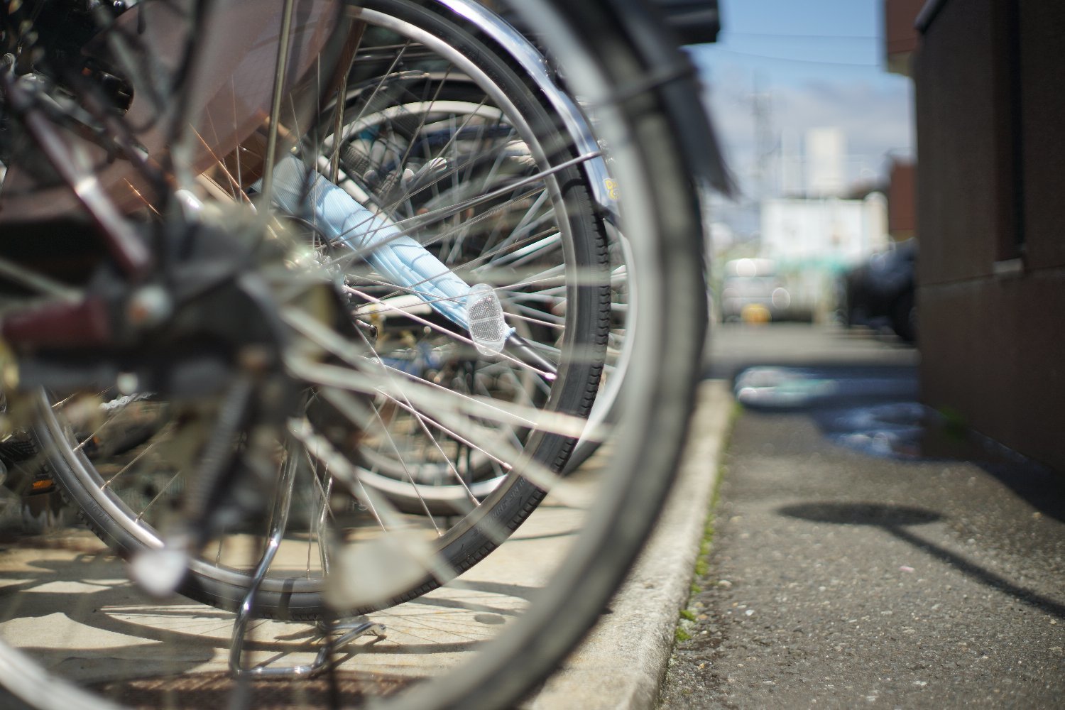 ペトリ CC Auto 55mmF1.8 で 旭ヶ丘を散歩_b0069128_20580538.jpg