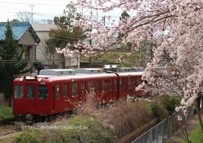 樽見鉄道「プラレール号」と養老鉄道「桜だより」_b0314633_18252960.jpg