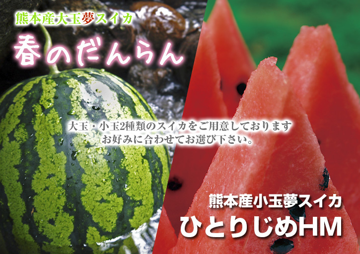 夢スイカ 小玉スイカ「ひとりじめHM」 試し割りの様子と初回出荷日決定!匠の食味へのこだわり!_a0254656_16160754.jpg