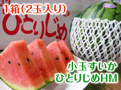 夢スイカ 小玉スイカ「ひとりじめHM」 試し割りの様子と初回出荷日決定!匠の食味へのこだわり!_a0254656_16173264.jpg