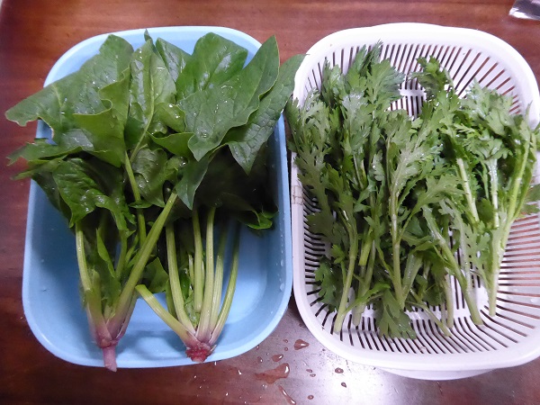 ほうれん草 ひもろぎ逍遥 ほうれん草 ひもろぎ逍遥