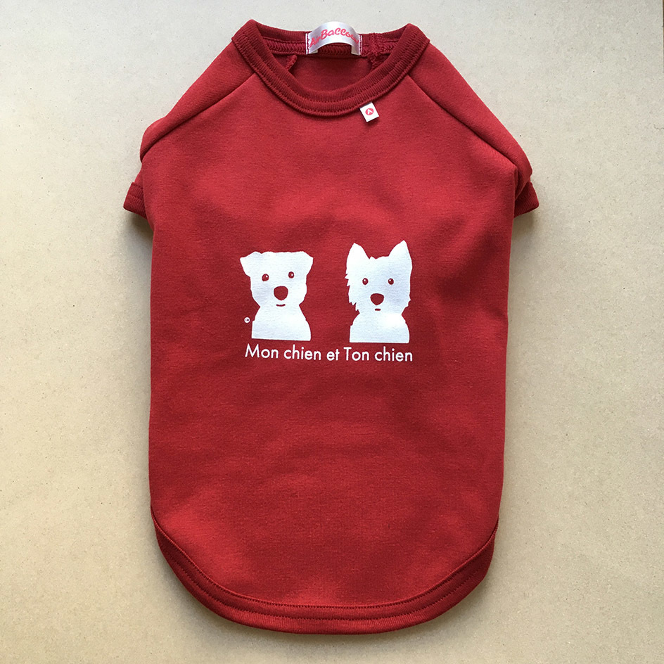 4月初旬にワンコTシャツ。_b0107163_15231819.jpg