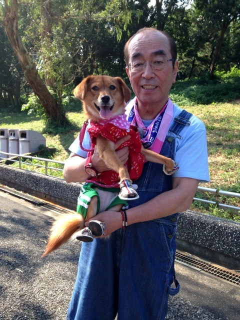 けんさんとちびちゃん 空色の便箋