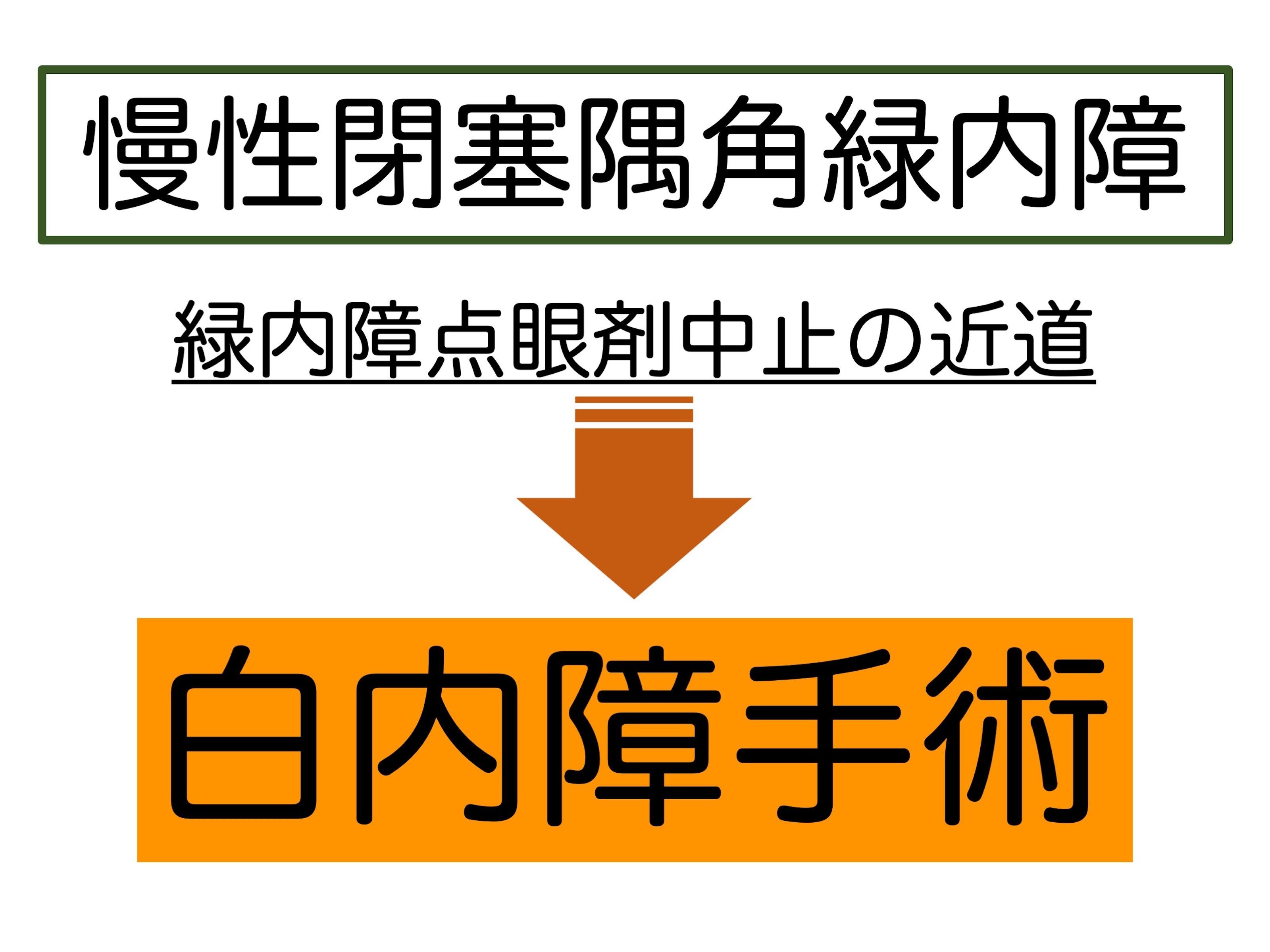 第9章 数多の見解 「生涯 “点眼” 継続」 _a0257968_14553343.jpeg