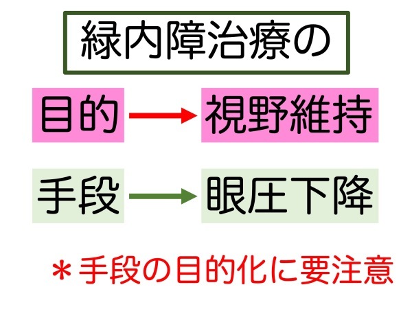 第5章 実践その2 緑内障の治療_a0257968_15500632.jpeg