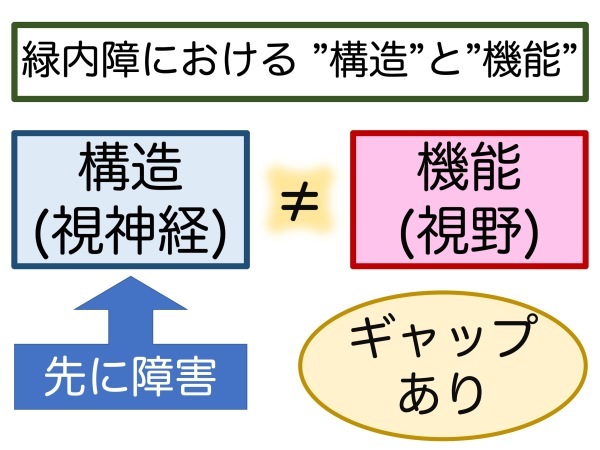 第4章 実践その1 緑内障の見つけ方_a0257968_15592774.jpeg
