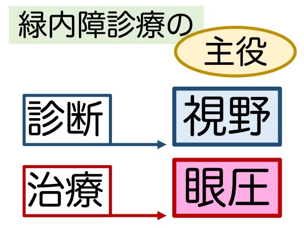 第3章 誤解その3「眼圧が高いと緑内障」_a0257968_16055736.jpeg
