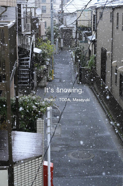 雪が降る_b0102780_05544964.jpg