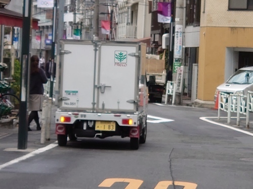「プレコのお兄さん」_a0075684_10181278.jpg