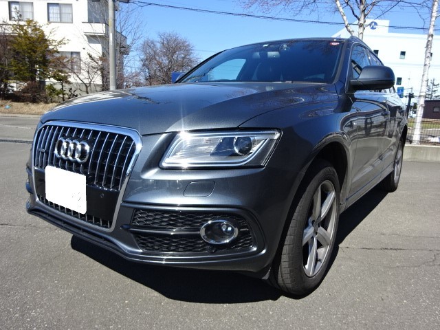 春はドレスアップ! BBS RI-D装着 Audi RSQ3_c0219786_18502642.jpg