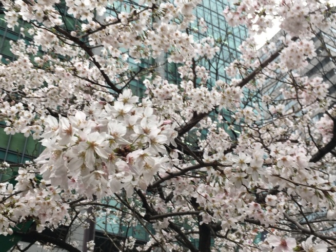 個々に奮闘お疲れさまです NO.679_c0102513_23483736.jpeg