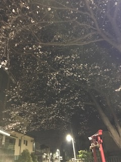とりいそぎ とがりベーカリー