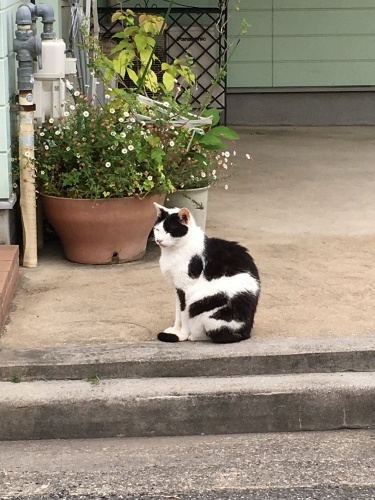 検査数_d0184114_20114471.jpeg