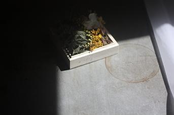 no.453 春の箱にこめられたおもい_a0139315_16562666.jpg