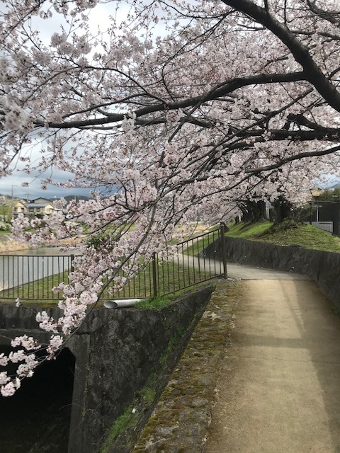 バーバーバー4月スケジュール_e0143447_18145968.jpg
