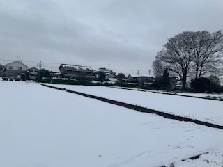 雪だ!!!!_e0040673_11473104.jpg