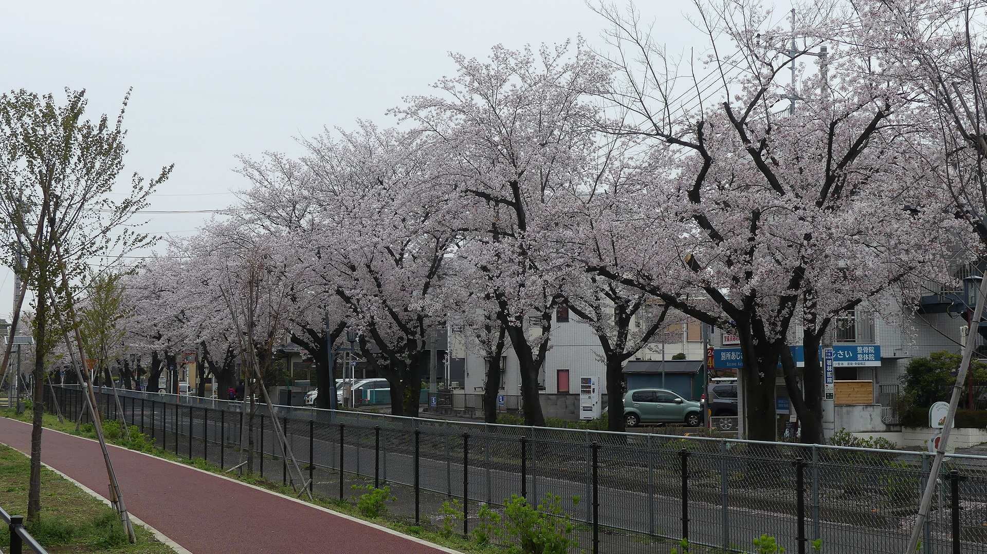 名残惜しいぞ 【 2020 3/31(火) 】_a0185081_11585725.jpg
