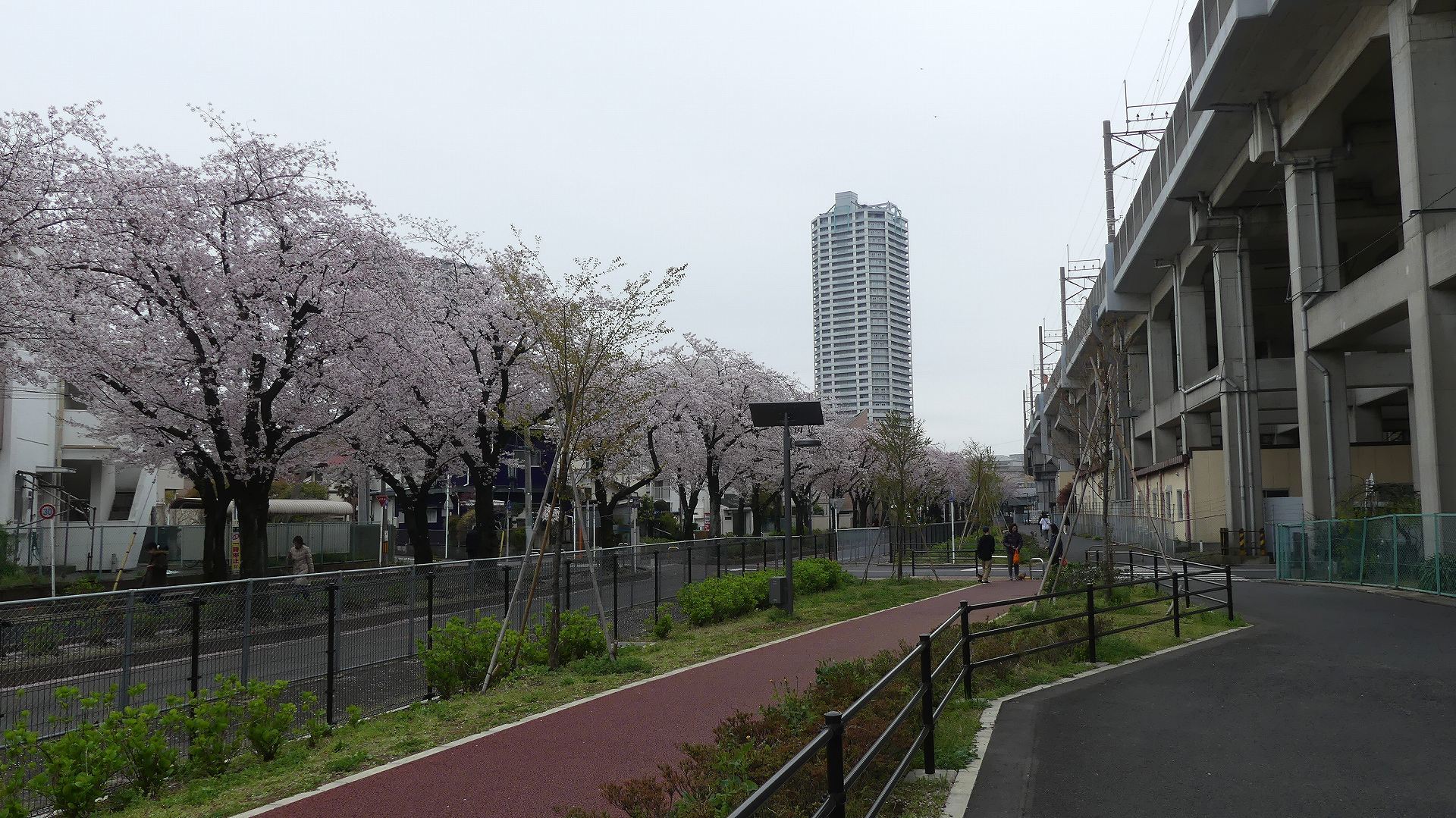 名残惜しいぞ 【 2020 3/31(火) 】_a0185081_11592747.jpg