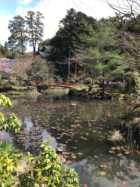大原野神社_f0204295_13252746.jpg