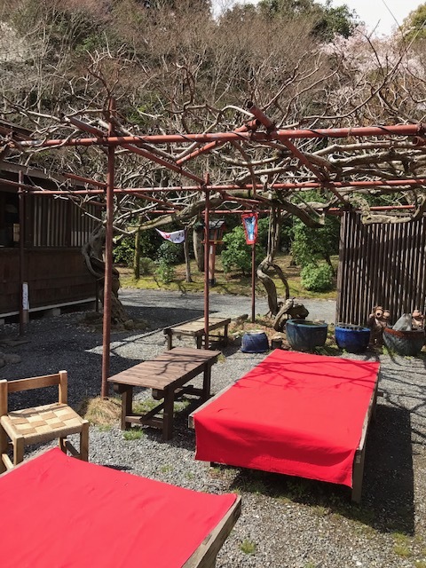 大原野神社_f0204295_13261232.jpg