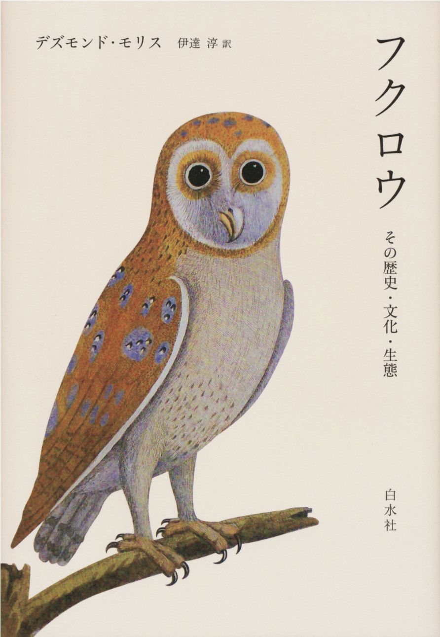 増え続ける新規感染者数_c0025115_23402219.jpg