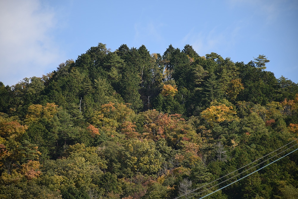 荒木鬼の居城、細工所城（荒木城）攻城記。　＜前編＞　登山道_e0158128_17452485.jpg