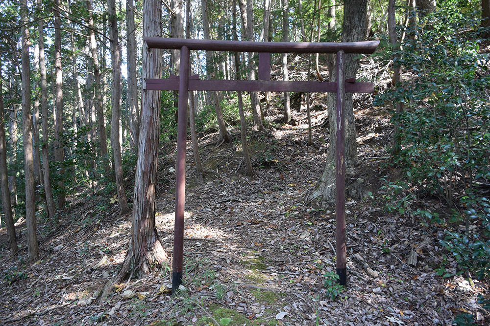 荒木鬼の居城、細工所城（荒木城）攻城記。　＜前編＞　登山道_e0158128_17573752.jpg