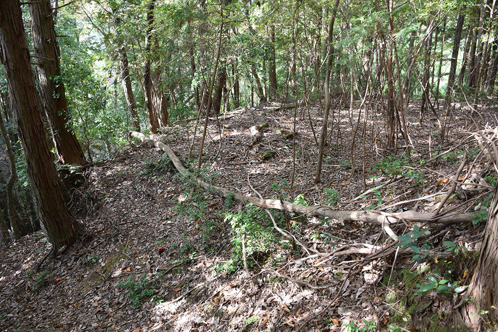 荒木鬼の居城、細工所城（荒木城）攻城記。　＜前編＞　登山道_e0158128_18090523.jpg