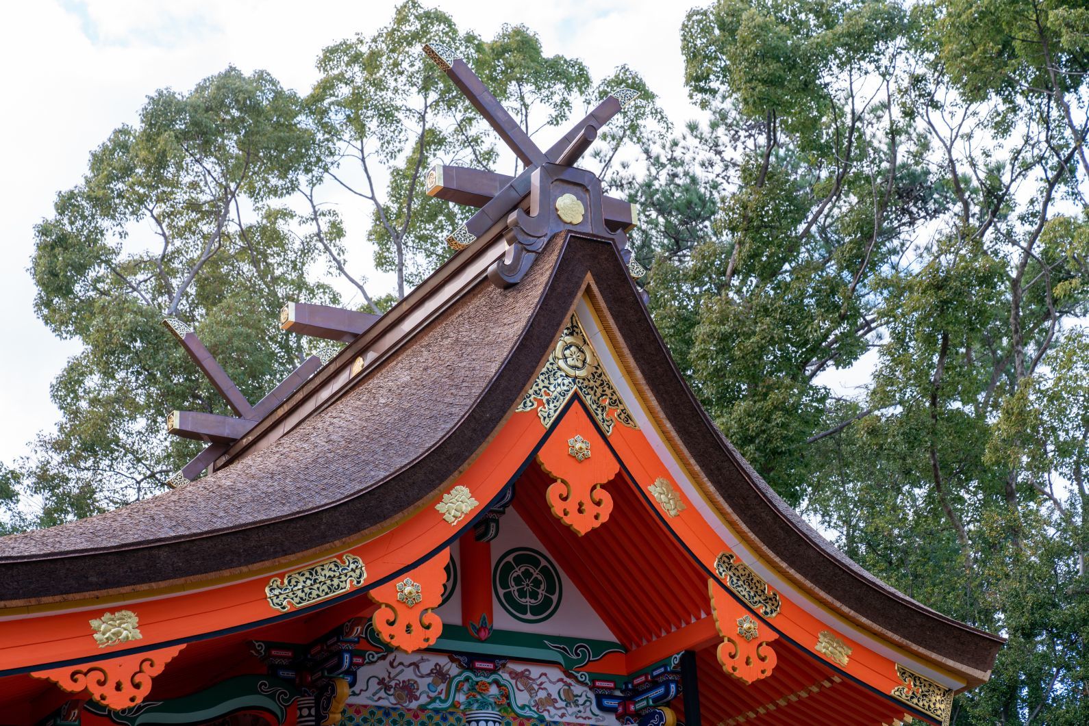 重要文化財｜八坂神社 本殿】（大阪府） 行き方、見学のしかた : 文化