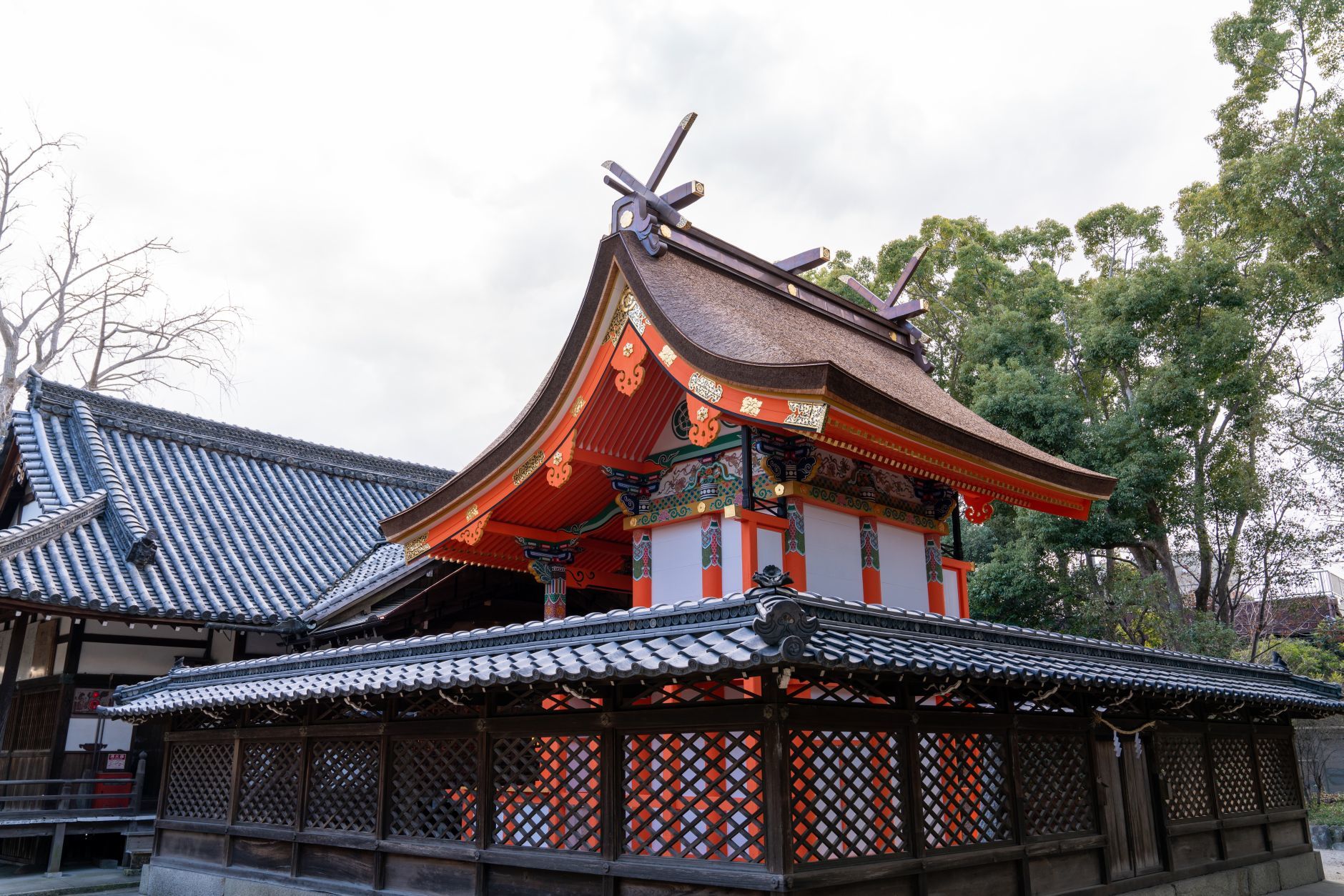 重要文化財｜八坂神社 本殿】（大阪府） 行き方、見学のしかた : 文化