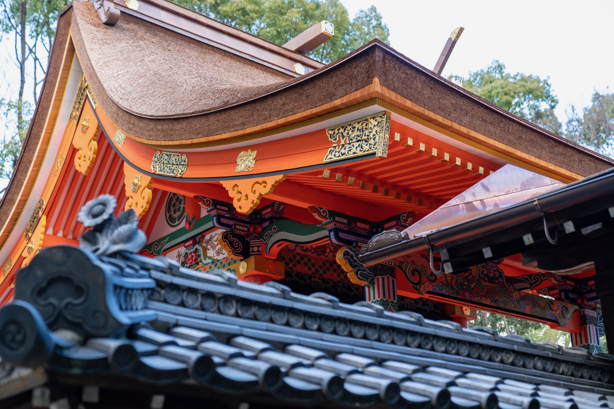 重要文化財 八坂神社 本殿 大阪府 池田市 行き方 見学のしかた 近代文化遺産見学案内所 重要文化財 八坂神社 本殿 大阪府 池田市 行き方 見学のしかた 近代文化遺産見学案内所