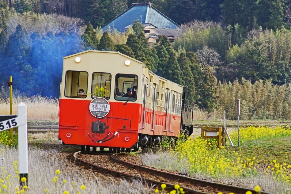 トロッコ列車　　2020-04-02　更新_e0229455_20421381.jpg