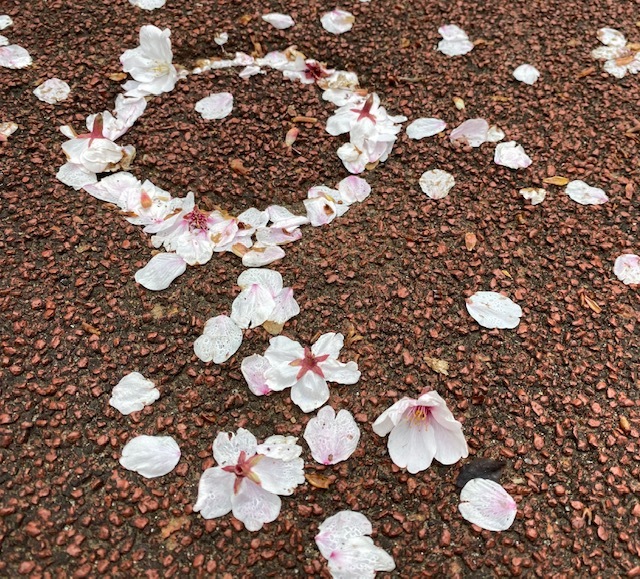 Sakura 書道の課題を送りに・・・_a0165160_11341302.jpg