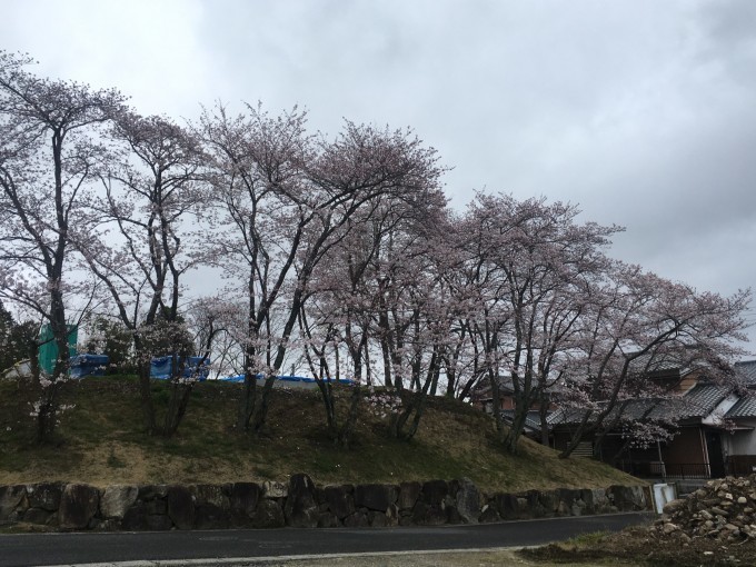 新型コロナ(COVID-19)で籠り居10日目_b0100062_10004051.jpeg