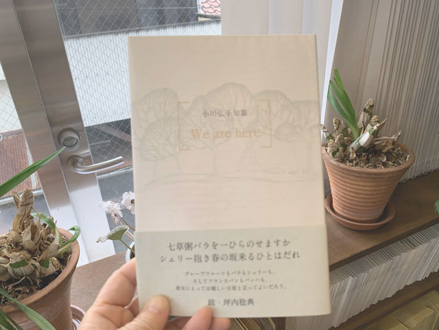 【中古】 火箱ひろ句集/ふらんす堂/火箱ひろ 中古】 火箱ひろ句集 （現代俳句文庫） / 火箱 ひろ / ふらんす