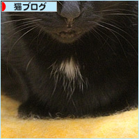 大切なベッド_a0389088_05045057.jpg