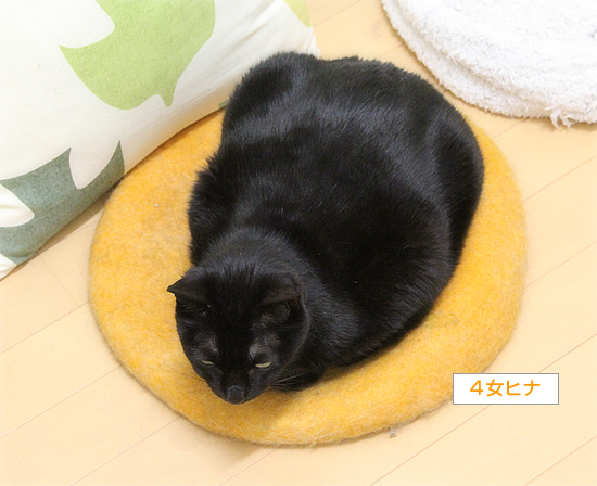 大切なベッド_a0389088_05045085.jpg