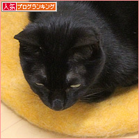 大切なベッド_a0389088_05045171.jpg