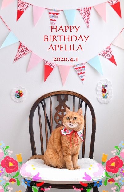 あぺりらの誕生日_d0025294_19213982.jpg
