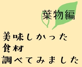 春キャベツを美味しく食べよう(北山)_f0354314_22180812.jpeg