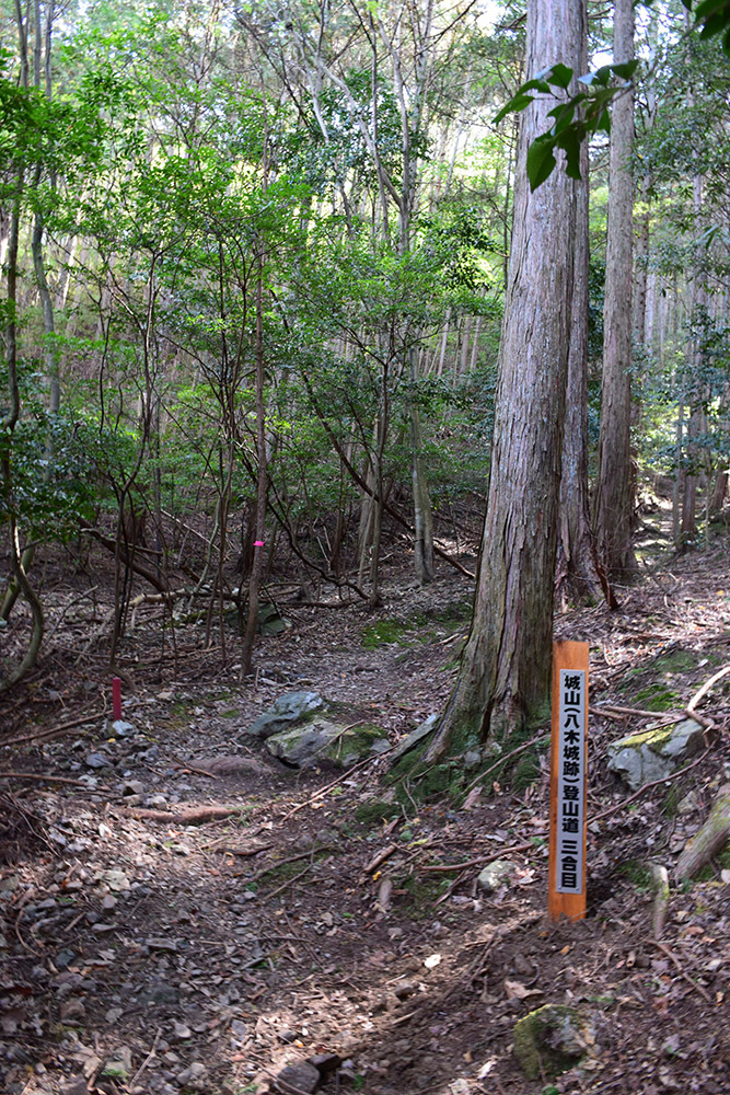 内藤如安の居城、丹波国八木城攻城記。　その１　＜登山道＞_e0158128_18564809.jpg