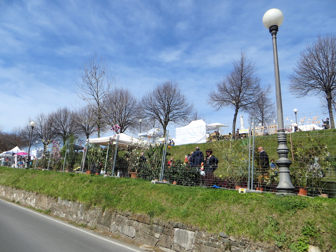 ルッカ囲む城壁の上の花の市 VerdeMura_f0234936_2339651.jpg