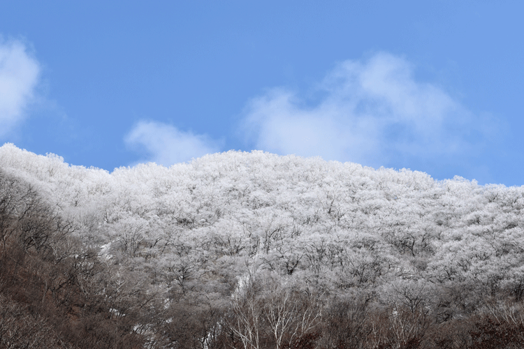 4月2日 赤城山 霧氷_a0001354_19175764.gif