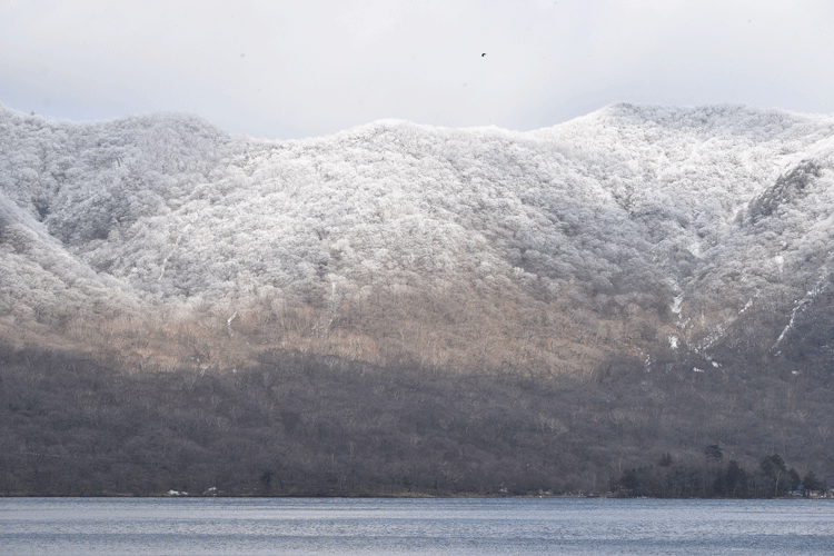 4月2日 赤城山 霧氷_a0001354_19183438.gif